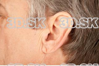 Ear texture of Wendell 0002